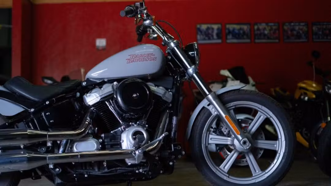 2024 HARLEY Fxst - Softail Standard - Image 3