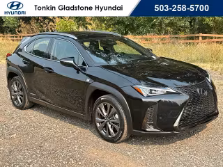 2020 Lexus Ux 250h F SPORT