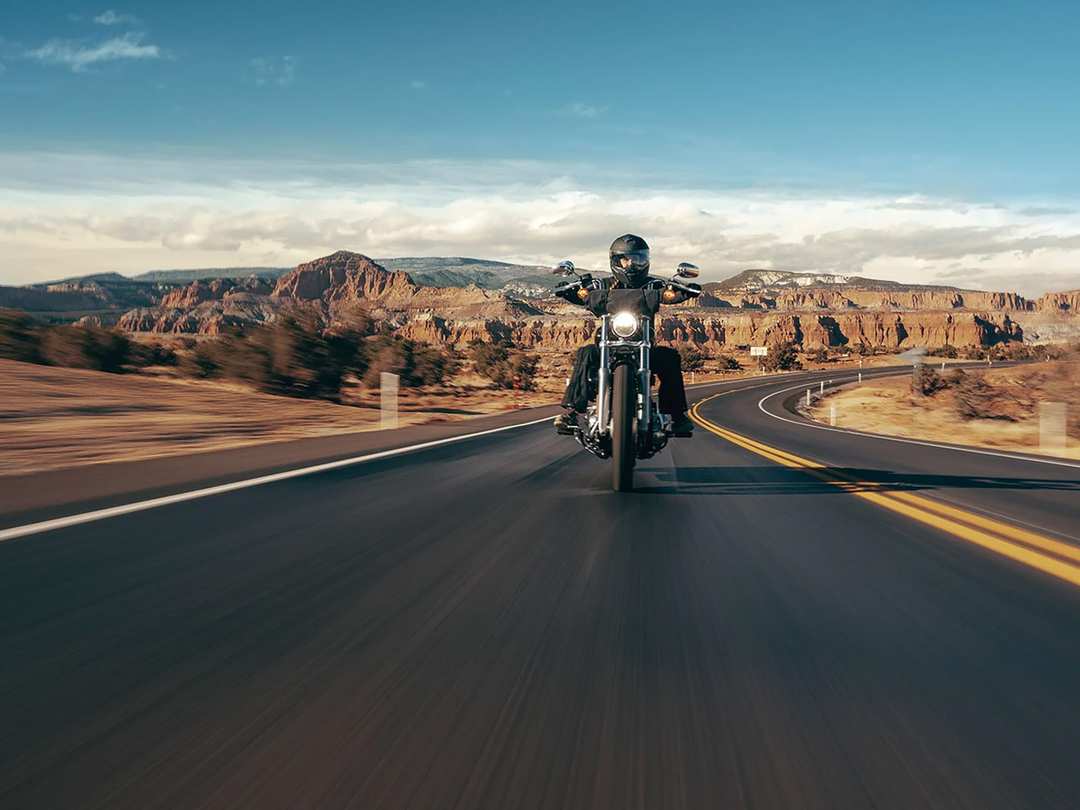 2023 Harley-Davidson Softail® Standard - Image 2