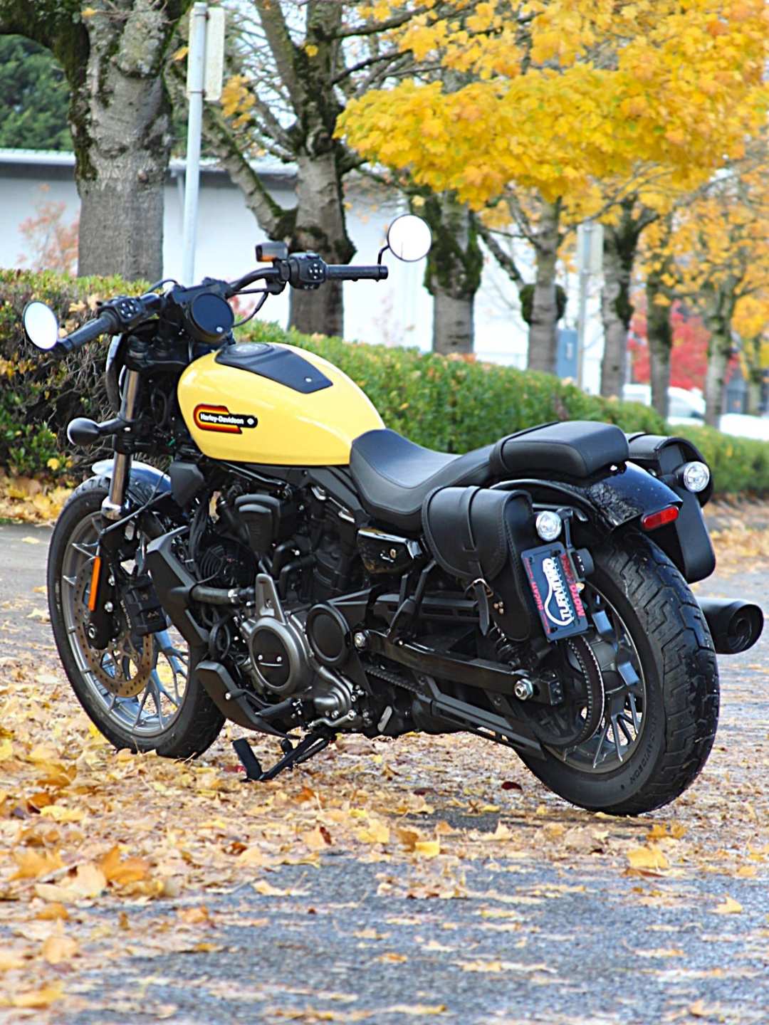 2023 Harley-Davidson Nightster® Special - Image 2